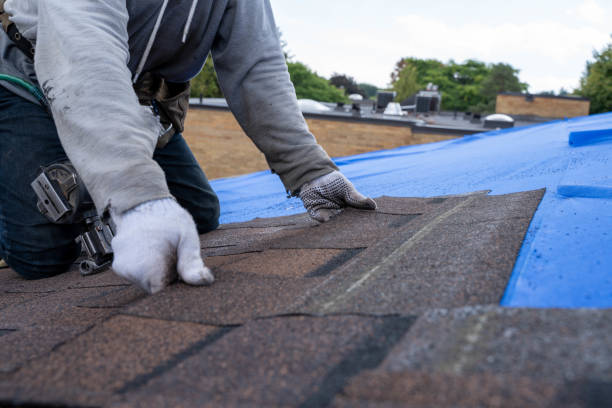 Best Roof Gutter Cleaning  in Hillside Lake, NY